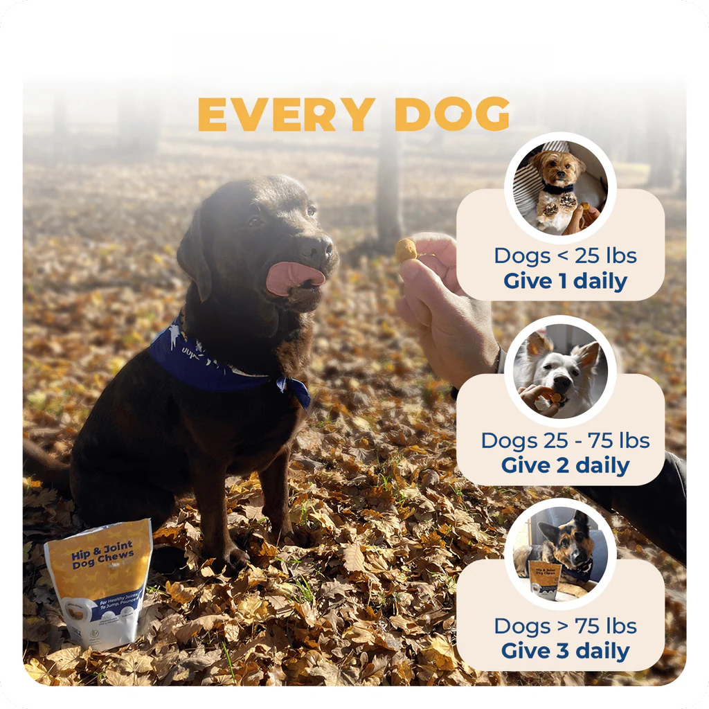 PetHome Hip & Joint Dog Chews - 50 Count