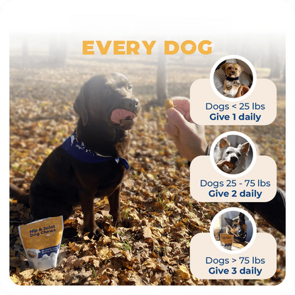 PetHome Hip & Joint Dog Chews - 50 Count